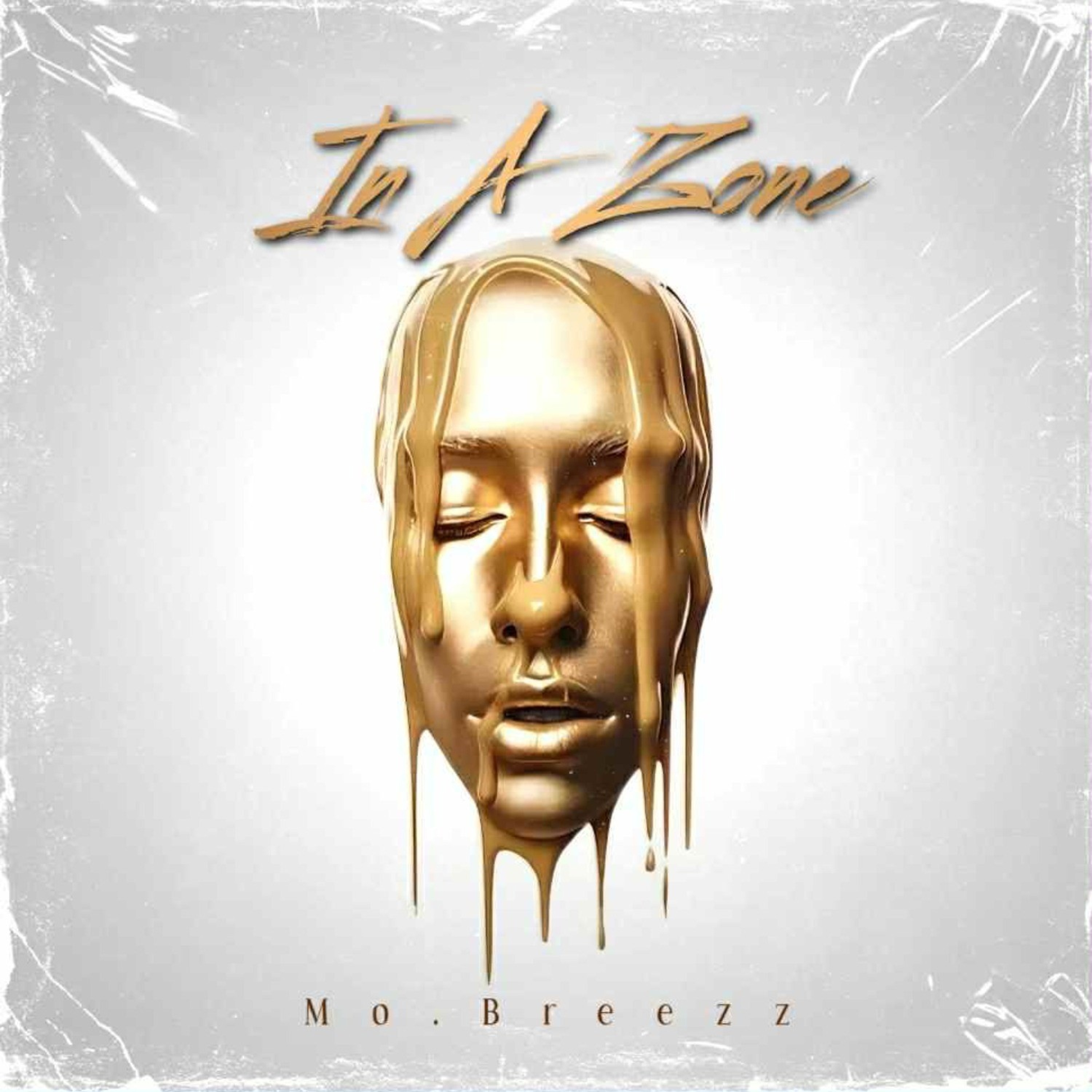 IN A ZonE cover