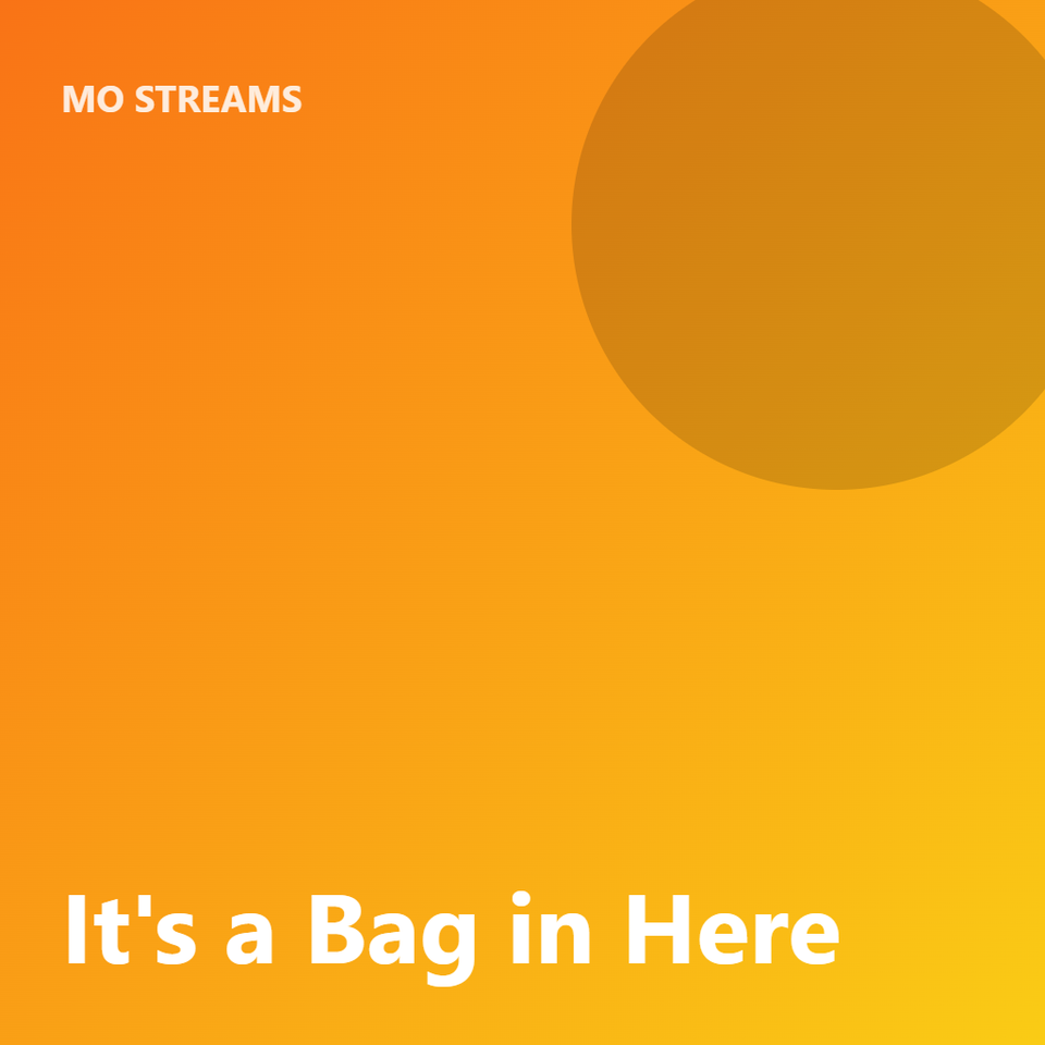 It's a Bag in Here
